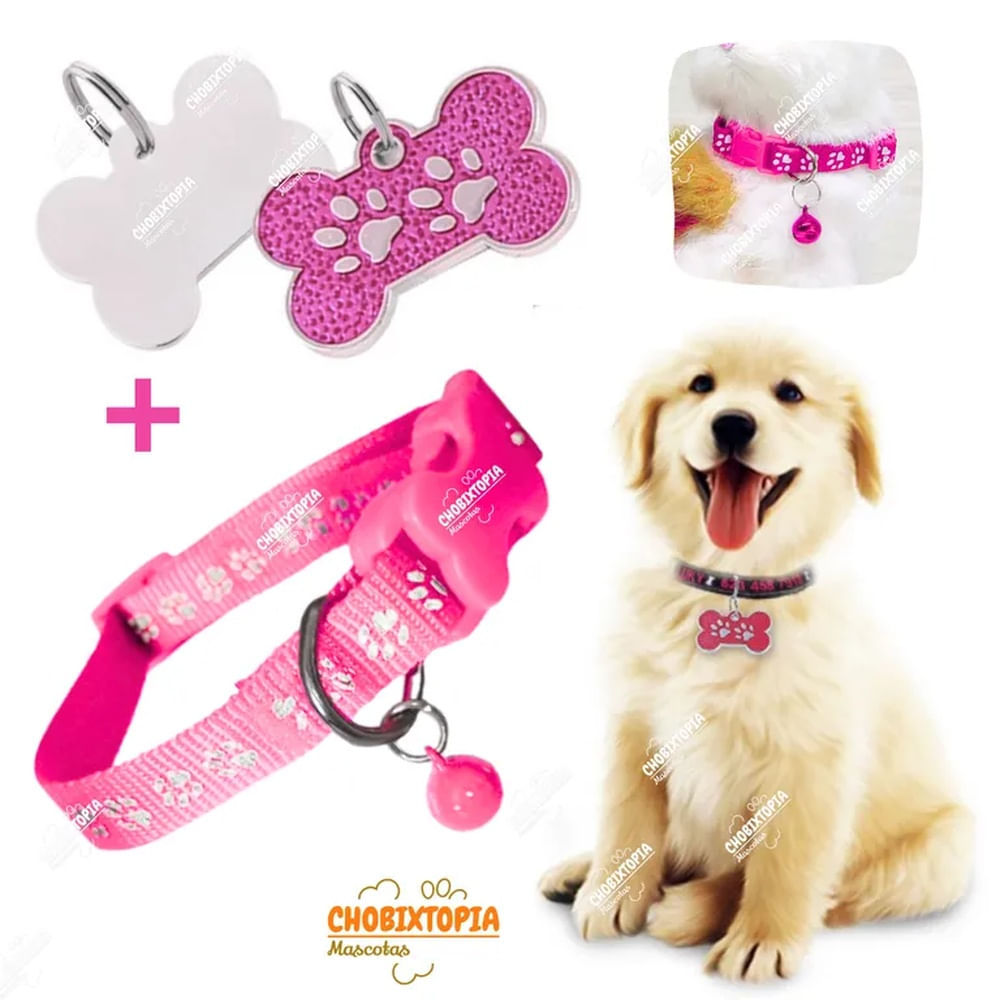 PLACA Y COLLAR P-MASCOTAS C-CASCABEL - ROSADA FUCSIA PLACA ROSADA y COLLAR FUCSIA FOSFORESCENTE PLACA Y COLLAR P-MASCOTAS C-CASCABEL - ROSADA FUCSIA PLACA ROSADA y COLLAR FUCSIA FOSFORESCENTE