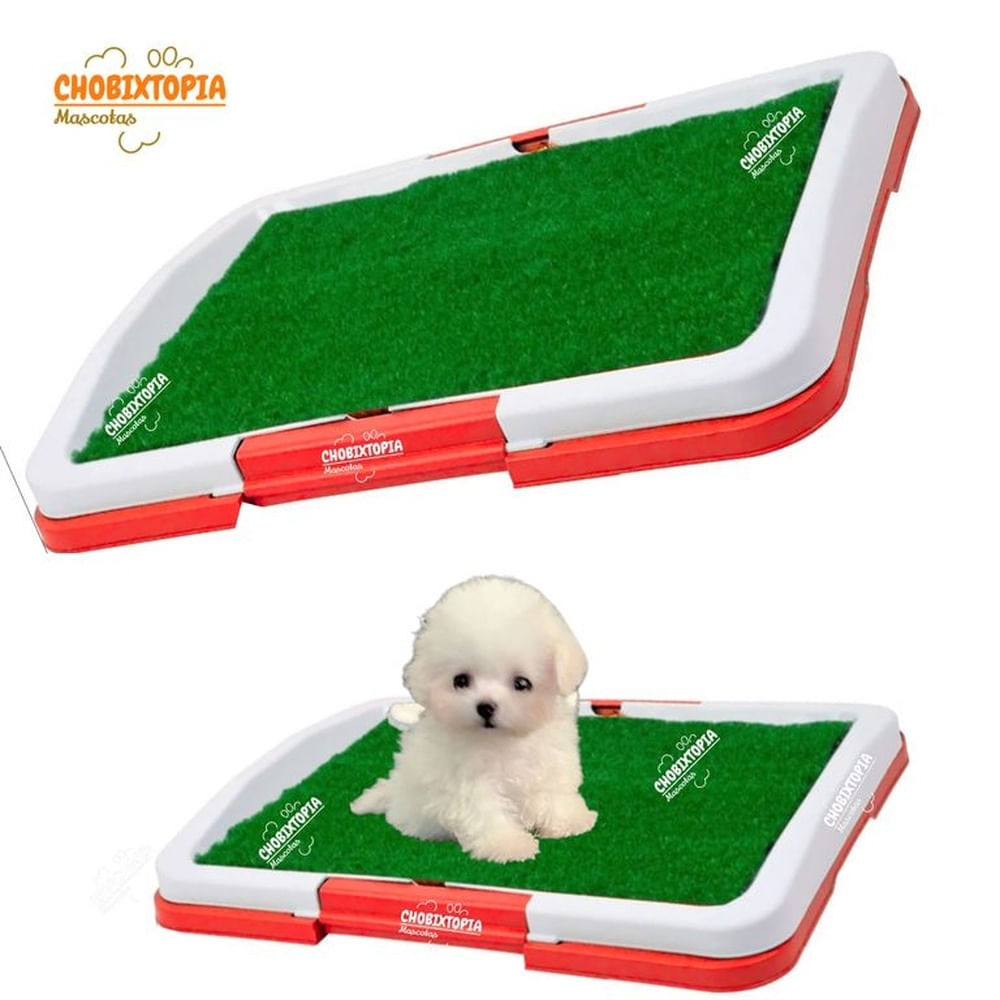 BAÑO PORTATIL ECOLOGICO ROJO CON GRAS CHICO SIN BANDEJA BLANCO VERDE AZUL BAÑO PORTATIL ECOLOGICO ROJO CON GRAS CHICO SIN BANDEJA BLANCO VERDE AZUL