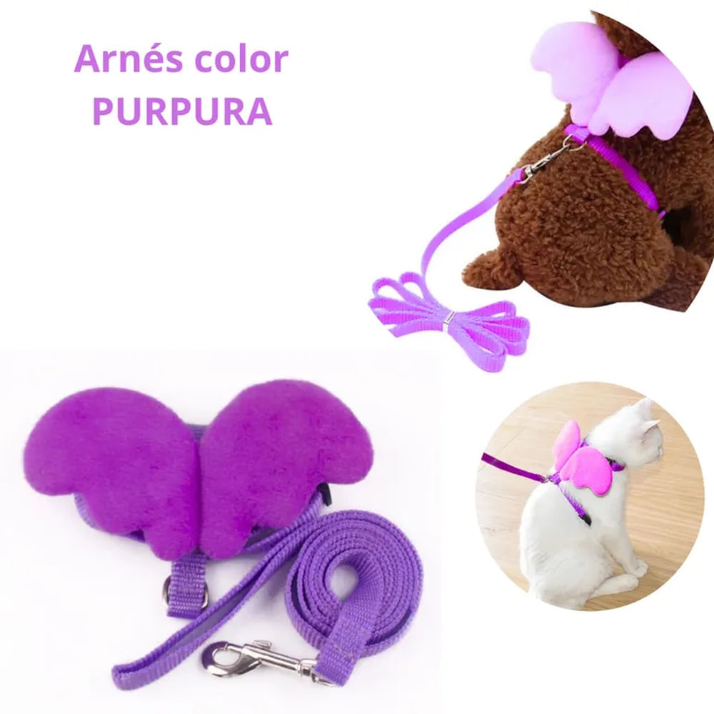 ARNES CON ALAS Y CORREA CHICO - PURPURA PURPURA ARNES CON ALAS Y CORREA CHICO - PURPURA PURPURA