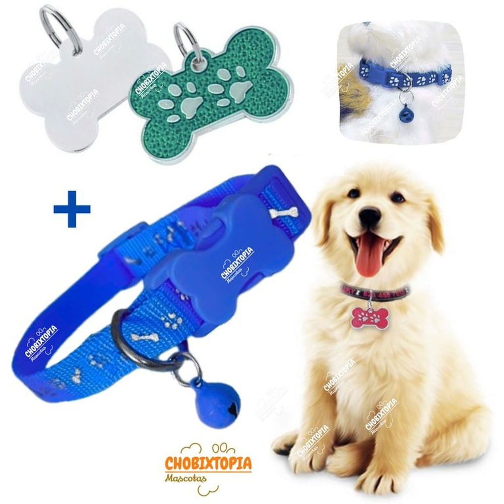 PLACA Y COLLAR PARA MASCOTAS CON CASCABEL - VERDE y AZUL PLACA VERDE y COLLAR AZUL PLACA Y COLLAR PARA MASCOTAS CON CASCABEL - VERDE y AZUL PLACA VERDE y COLLAR AZUL