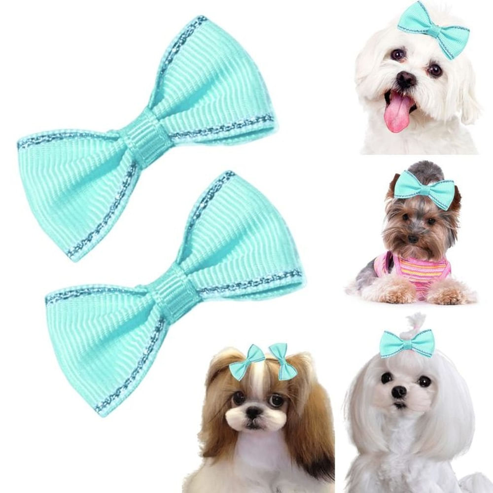 MOÑO PARA MASCOTAS VERDE AGUA