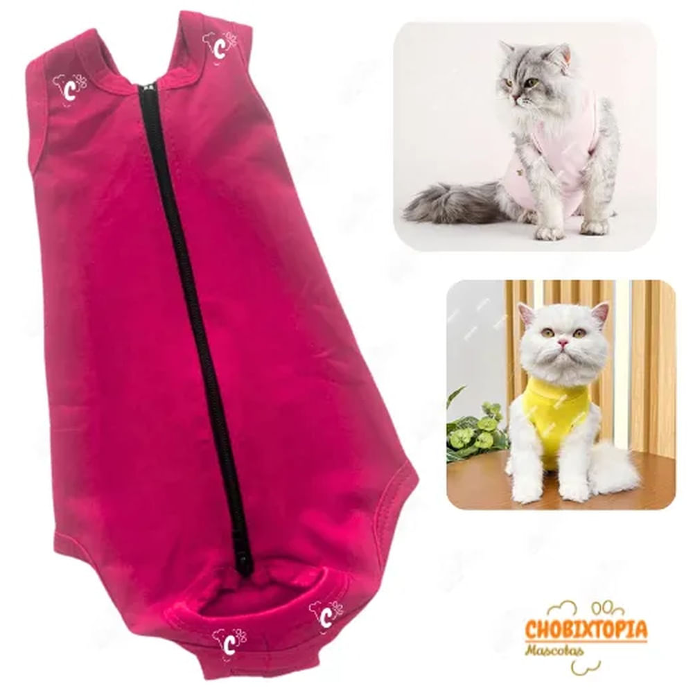 FAJA POST OPERATORIA MASCOTA-PERRA-GATA TALLA S-CORAL CORAL FAJA POST OPERATORIA MASCOTA-PERRA-GATA TALLA S-CORAL CORAL