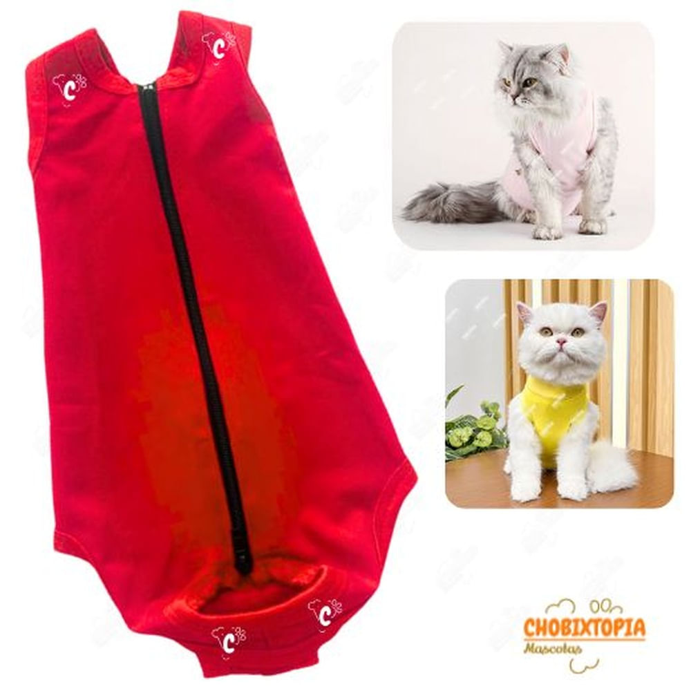 FAJA POST OPERATORIA MASCOTA-PERRA-GATA TALLA L-ROJA ROJA FAJA POST OPERATORIA MASCOTA-PERRA-GATA TALLA L-ROJA ROJA