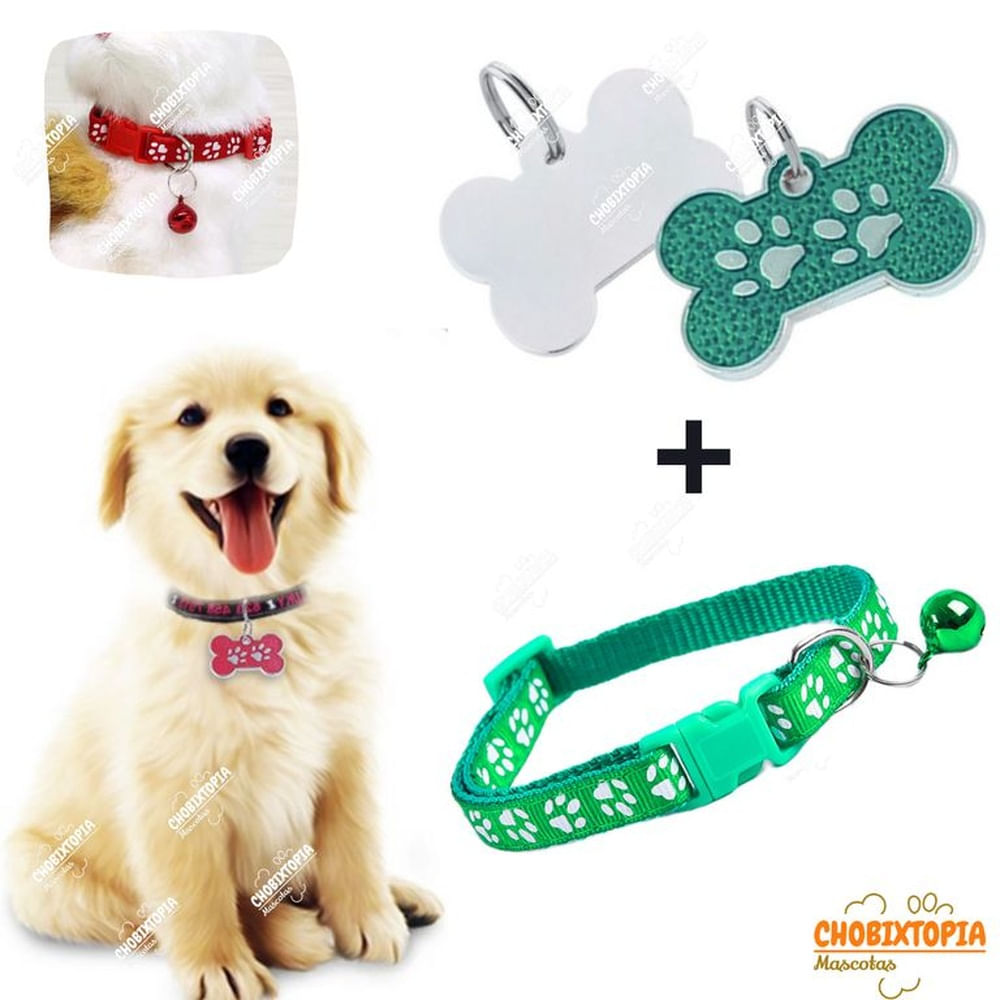 PLACA Y COLLAR PARA MASCOTAS CON CASCABEL - VERDE PLACA Y COLLAR VERDE PLACA Y COLLAR PARA MASCOTAS CON CASCABEL - VERDE PLACA Y COLLAR VERDE
