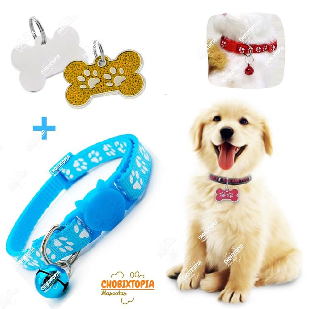 PLACA Y COLLAR PARA MASCOTAS CON CASCABEL - CELESTE Y DORADO PLACA DORADA y COLLAR CELESTE PLACA Y COLLAR PARA MASCOTAS CON CASCABEL - CELESTE Y DORADO PLACA DORADA y COLLAR CELESTE