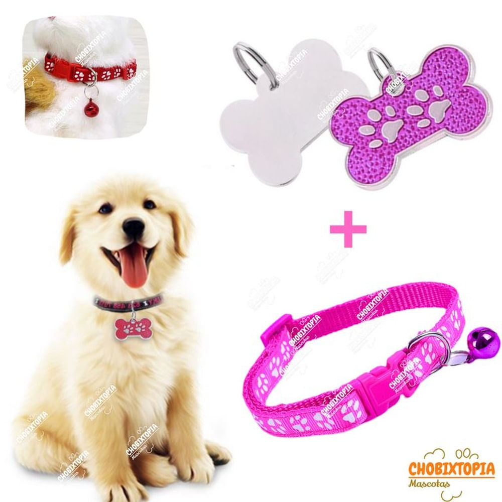 PLACA Y COLLAR PARA MASCOTAS CON CASCABEL - FUCSIA PLACA Y COLLAR FUCSIA PLACA Y COLLAR PARA MASCOTAS CON CASCABEL - FUCSIA PLACA Y COLLAR FUCSIA