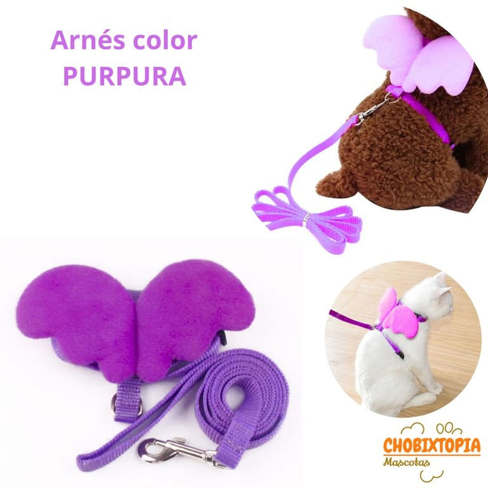 ARNES CON ALAS Y CORREA TALLA XS - PURPURA PURPURA ARNES CON ALAS Y CORREA TALLA XS - PURPURA PURPURA