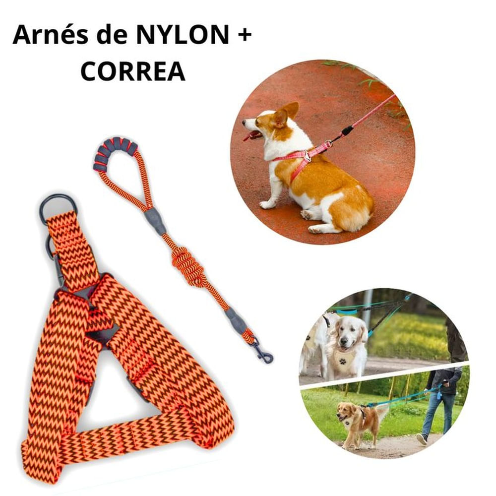 ARNÉS CON CORREA C-MANGO ACOLCHADO P-PERROS NARANJA Anaranjado ARNÉS CON CORREA C-MANGO ACOLCHADO P-PERROS NARANJA Anaranjado