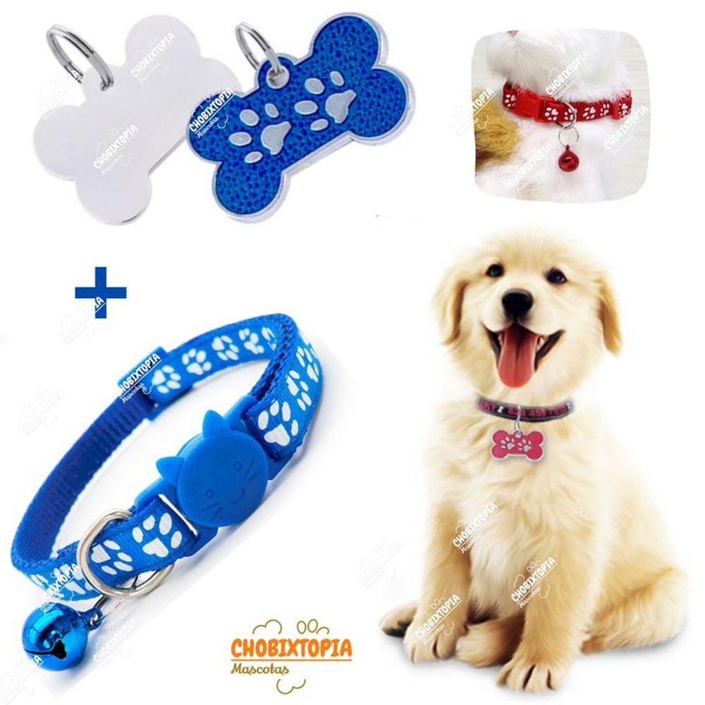 PLACA Y COLLAR PARA MASCOTAS CON CASCABEL - AZULINO PLACA y COLLAR AZULINO PLACA Y COLLAR PARA MASCOTAS CON CASCABEL - AZULINO PLACA y COLLAR AZULINO