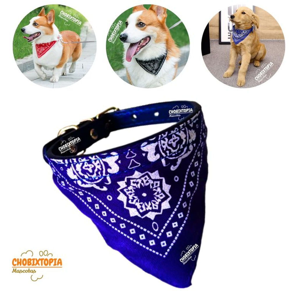 COLLAR BANDANA MASCOTA PERRO - AZUL
