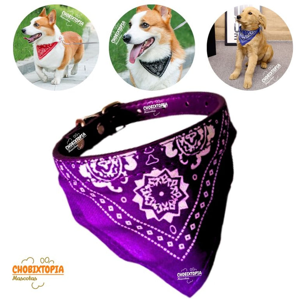 COLLAR BANDANA MASCOTA PERRO - MORADO