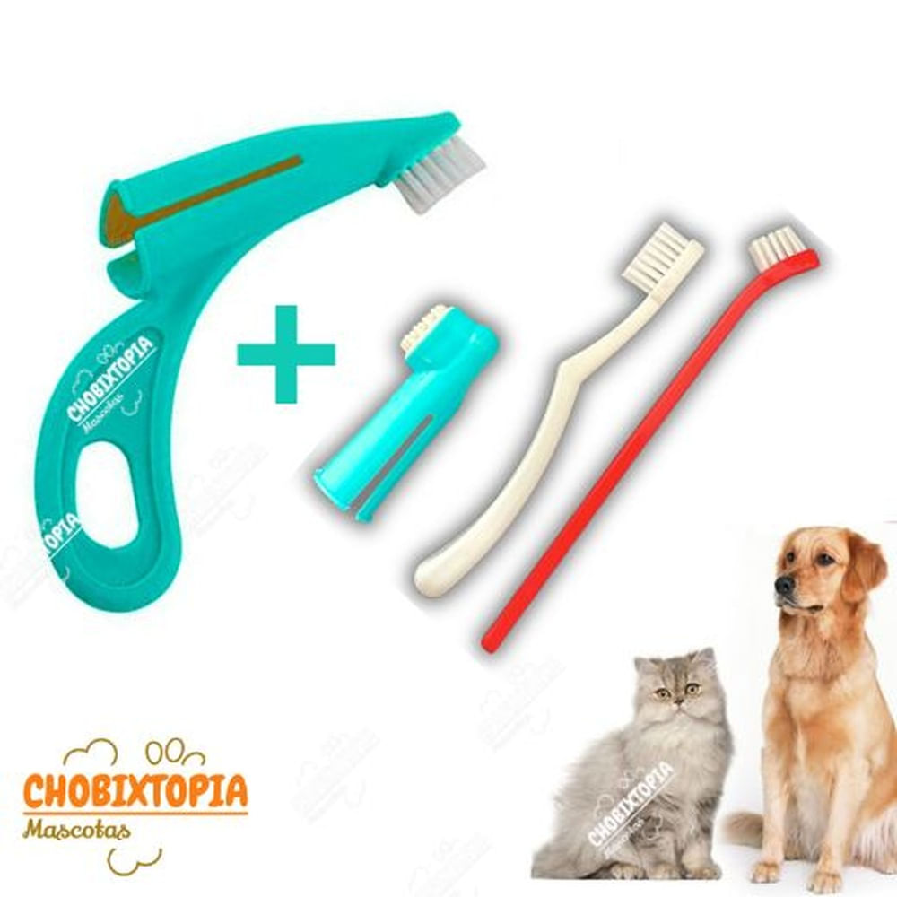 CEPILLO DENTAL 4 PACK - DEDAL TURQUESA CELESTE ROJO CEPILLO DENTAL 4 PACK - DEDAL TURQUESA CELESTE ROJO