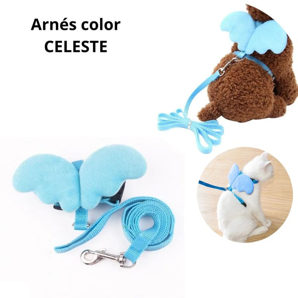 ARNES CON ALAS Y CORREA TALLA S - CELESTE CELESTE ARNES CON ALAS Y CORREA TALLA S - CELESTE CELESTE