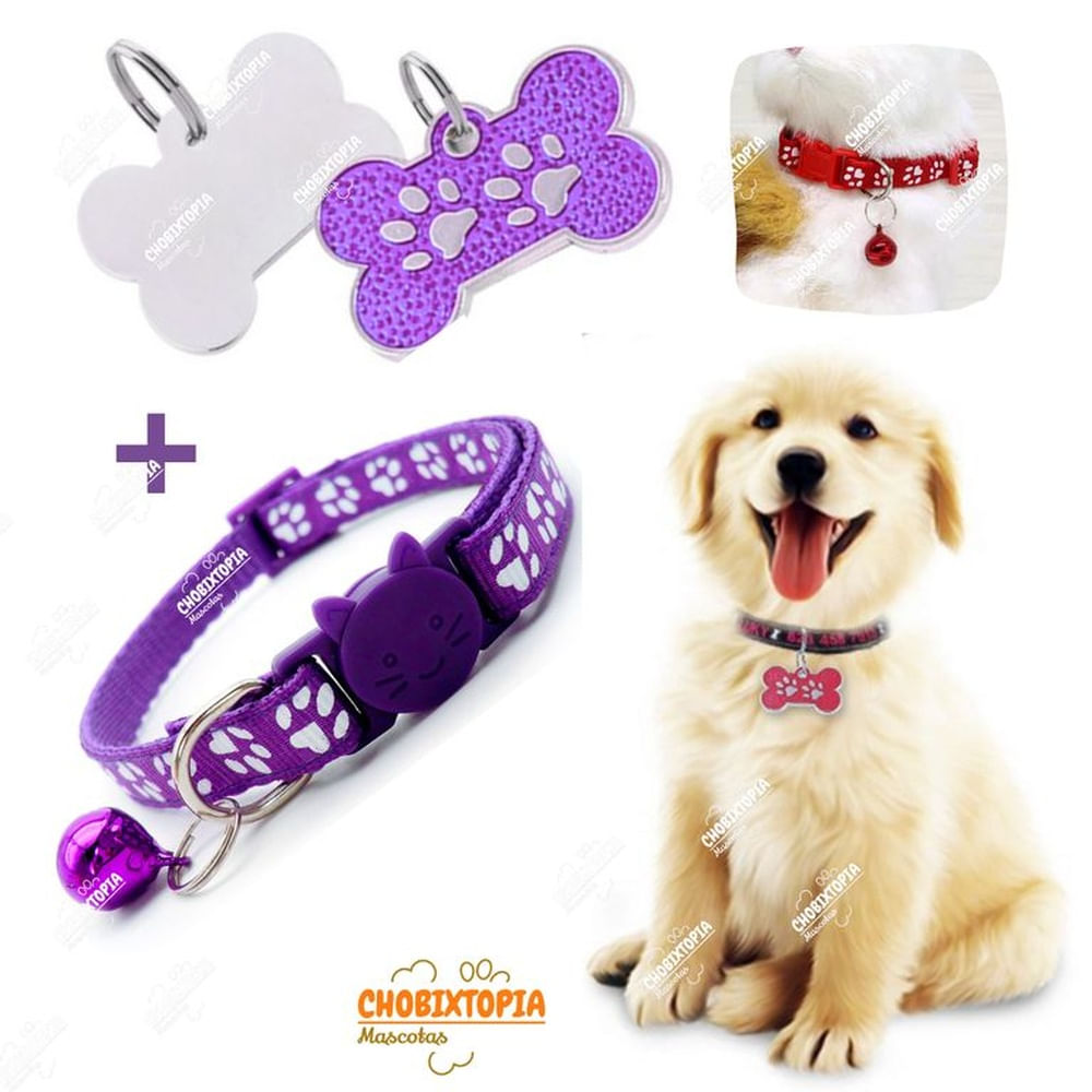 PLACA Y COLLAR PARA MASCOTAS CON CASCABEL - MORADO