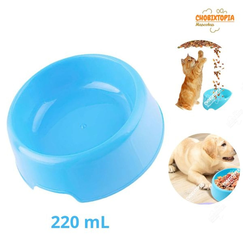 PLATO CIRCULAR 220 ML - TURQUESA TURQUESA PLATO CIRCULAR 220 ML - TURQUESA TURQUESA