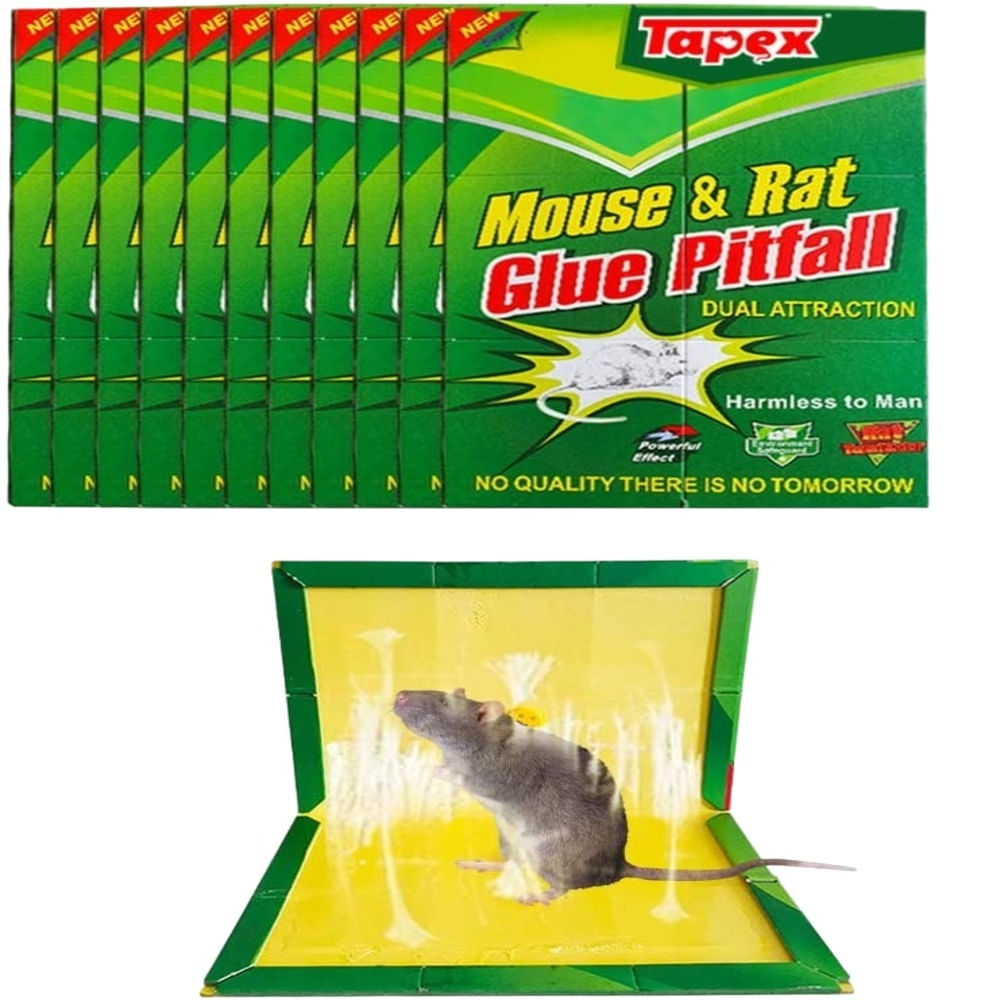 Trampa para Ratas Ratones Pericotes Pegamento Adhesivo