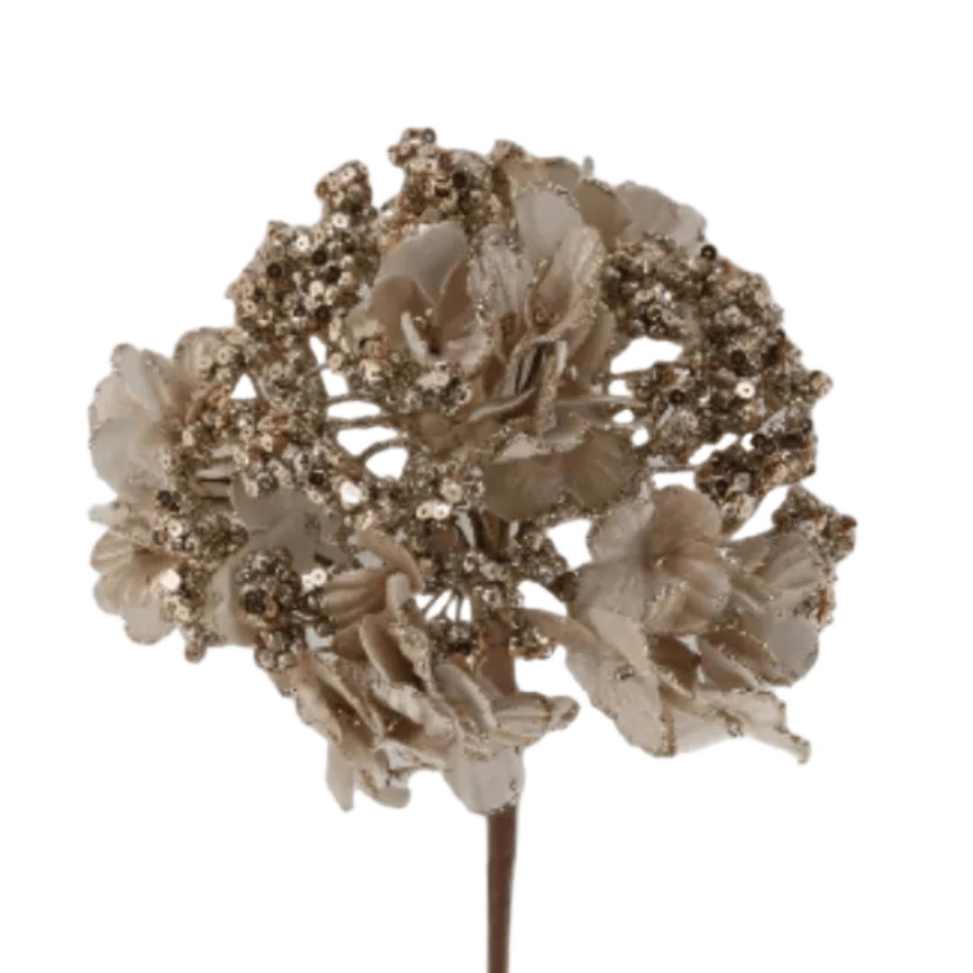 Hortensia Champagne 22 Cm
