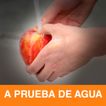 imageUrl_4