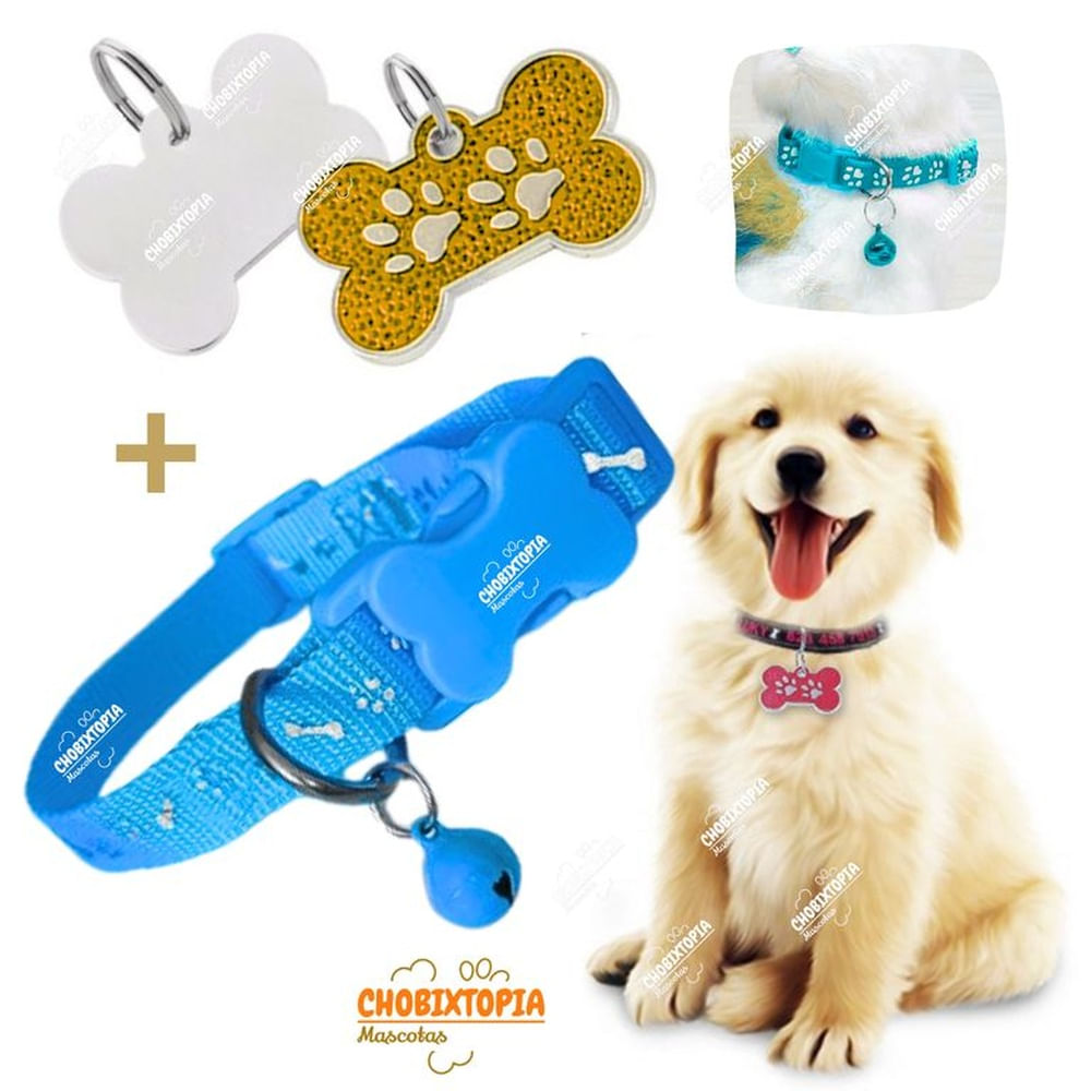 PLACA Y COLLAR PARA MASCOTAS CON CASCABEL - GOLDEN y CELESTE PLACA DORADA y COLLAR CELESTE INTENSO PLACA Y COLLAR PARA MASCOTAS CON CASCABEL - GOLDEN y CELESTE PLACA DORADA y COLLAR CELESTE INTENSO