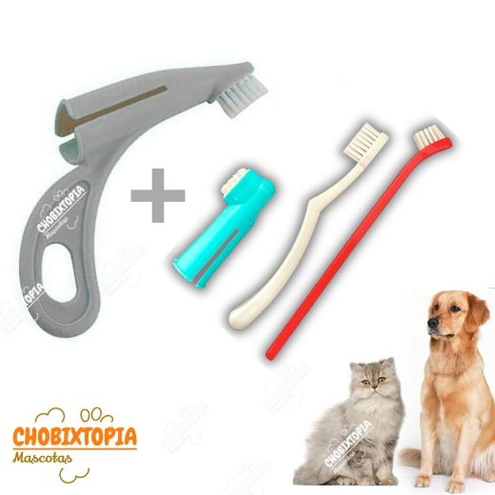 CEPILLO DENTAL 4 PACK - DEDAL PLOMO PLOMO AMARILLO Y AZUL CEPILLO DENTAL 4 PACK - DEDAL PLOMO PLOMO AMARILLO Y AZUL
