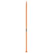 imageUrl_1
