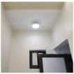 imageUrl_5