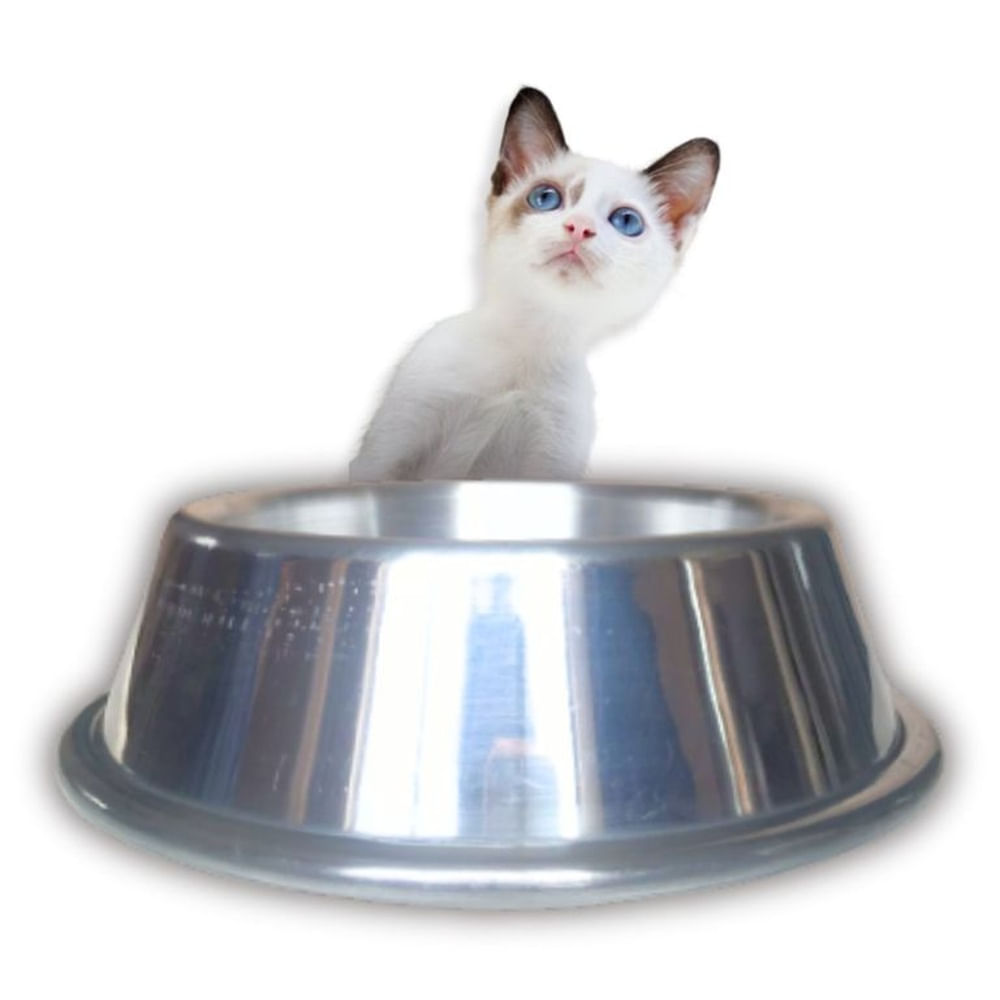 PLATO DE ALUMINIO PARA MASCOTA GATO. PLATEADO PLATO DE ALUMINIO PARA MASCOTA GATO. PLATEADO