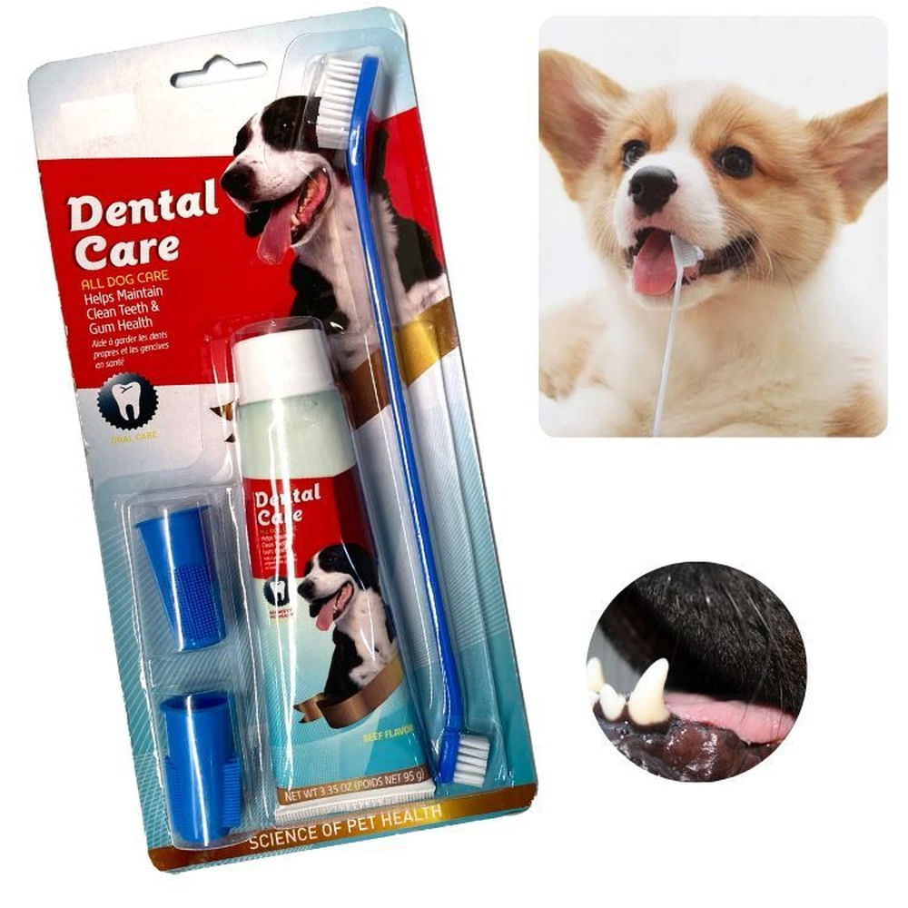 KIT CEPILLO DE DIENTES Y PASTA DENTAL-PERROS Y MASCOTAS BLANCO VERDE KIT CEPILLO DE DIENTES Y PASTA DENTAL-PERROS Y MASCOTAS BLANCO VERDE