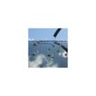imageUrl_5