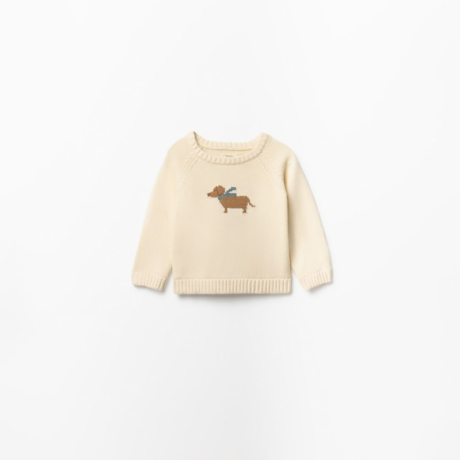 Chompa Bebé Niño Sfera Intarsia Perro Crudo