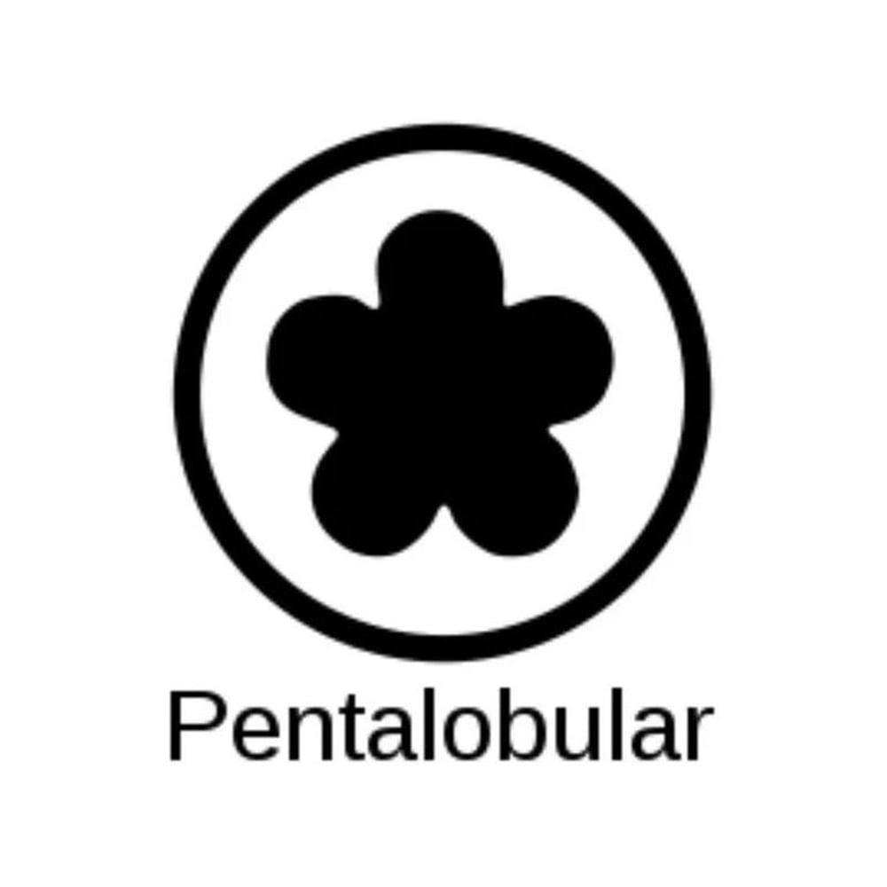 Desarmador Pentalobe P5 Macbook Air Macbook Pro Retina