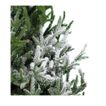 imageUrl_3