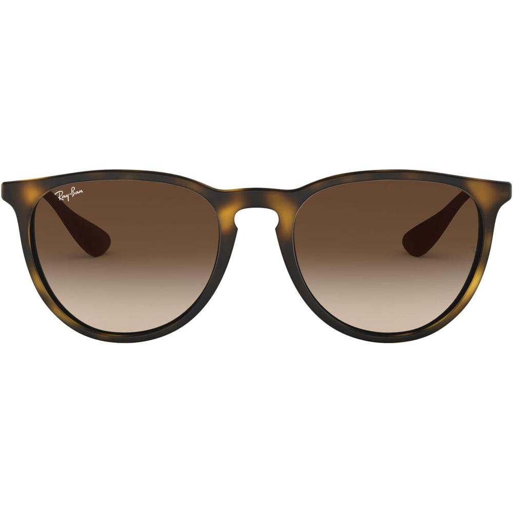 Ray-Ban RB4171 Erika Gafas de sol | Rubber Havana / Brown Dark Brown
