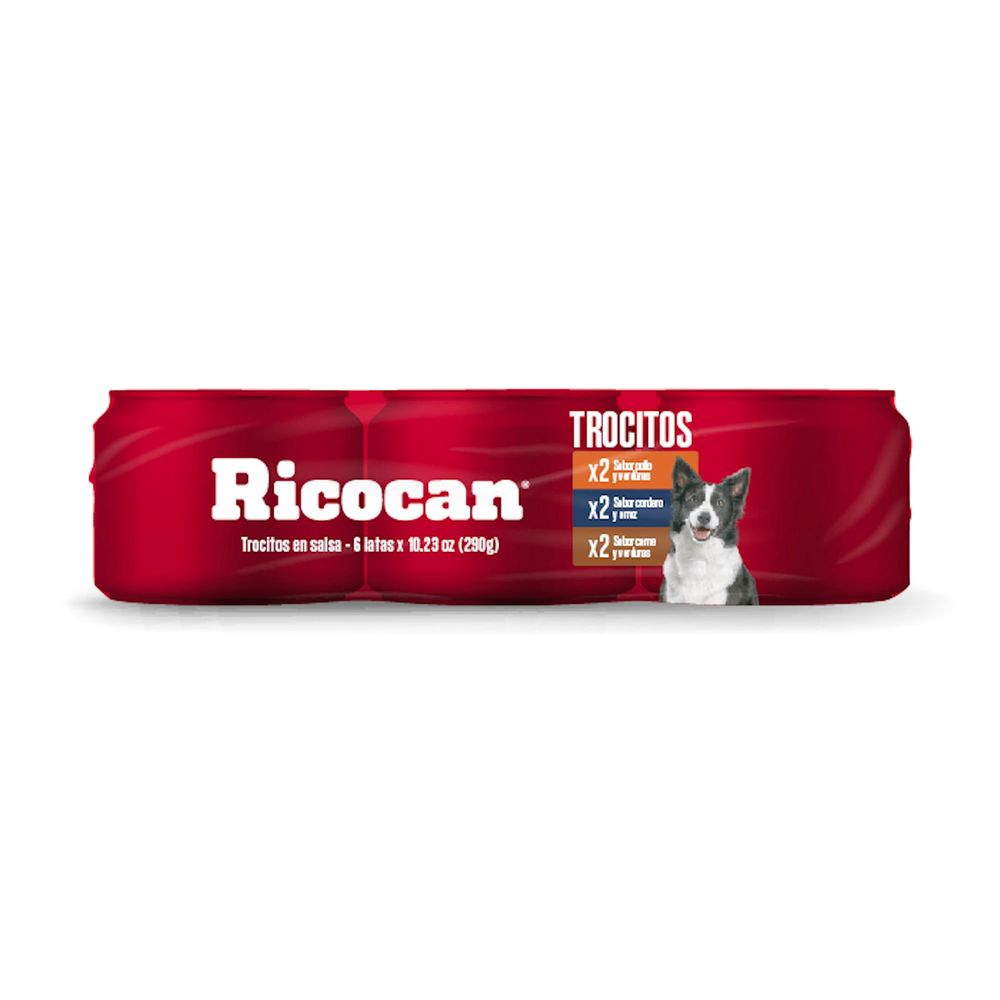 Six Pack RICOCAN Adulto Sabores Variados Paquete 290g Six Pack RICOCAN Adulto Sabores Variados Paquete 290g