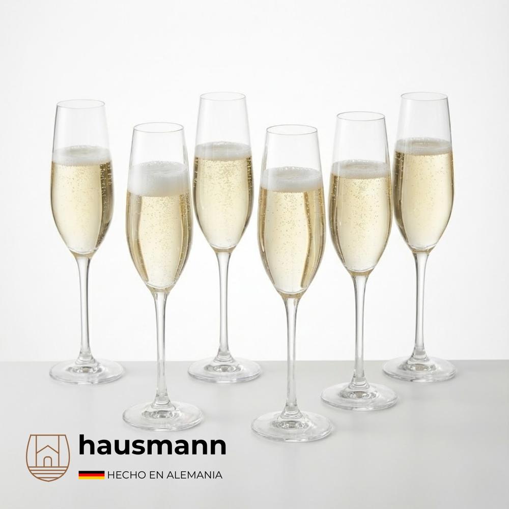 Copas para Champagne Set x12 Und Hausmann