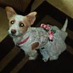 imageUrl_9