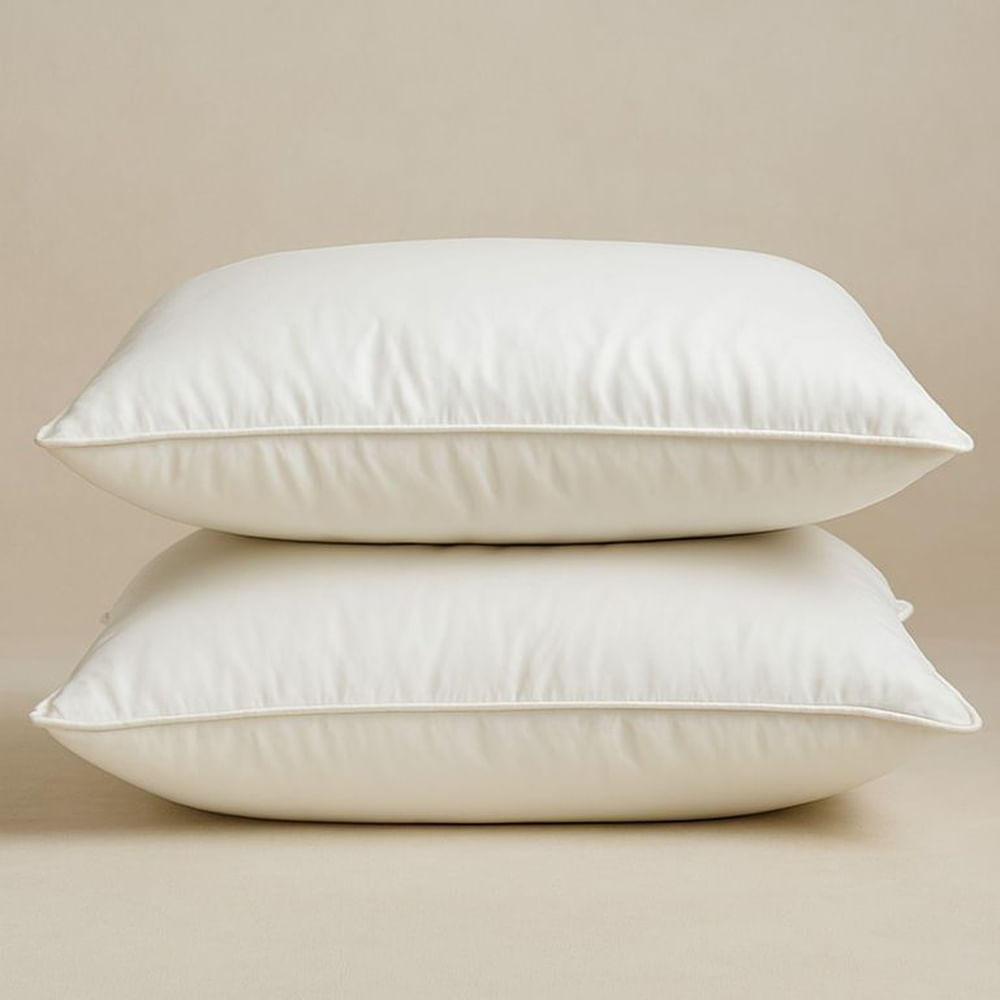 Set de 2 Almohadas de Plumas 50X70cm