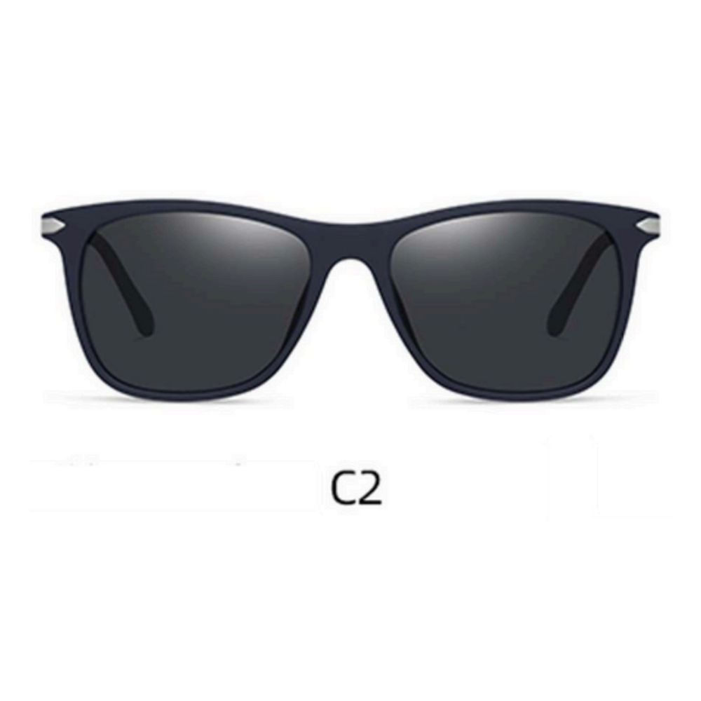 Lente de sol Polarizados Hombre Homeway C3056-C2