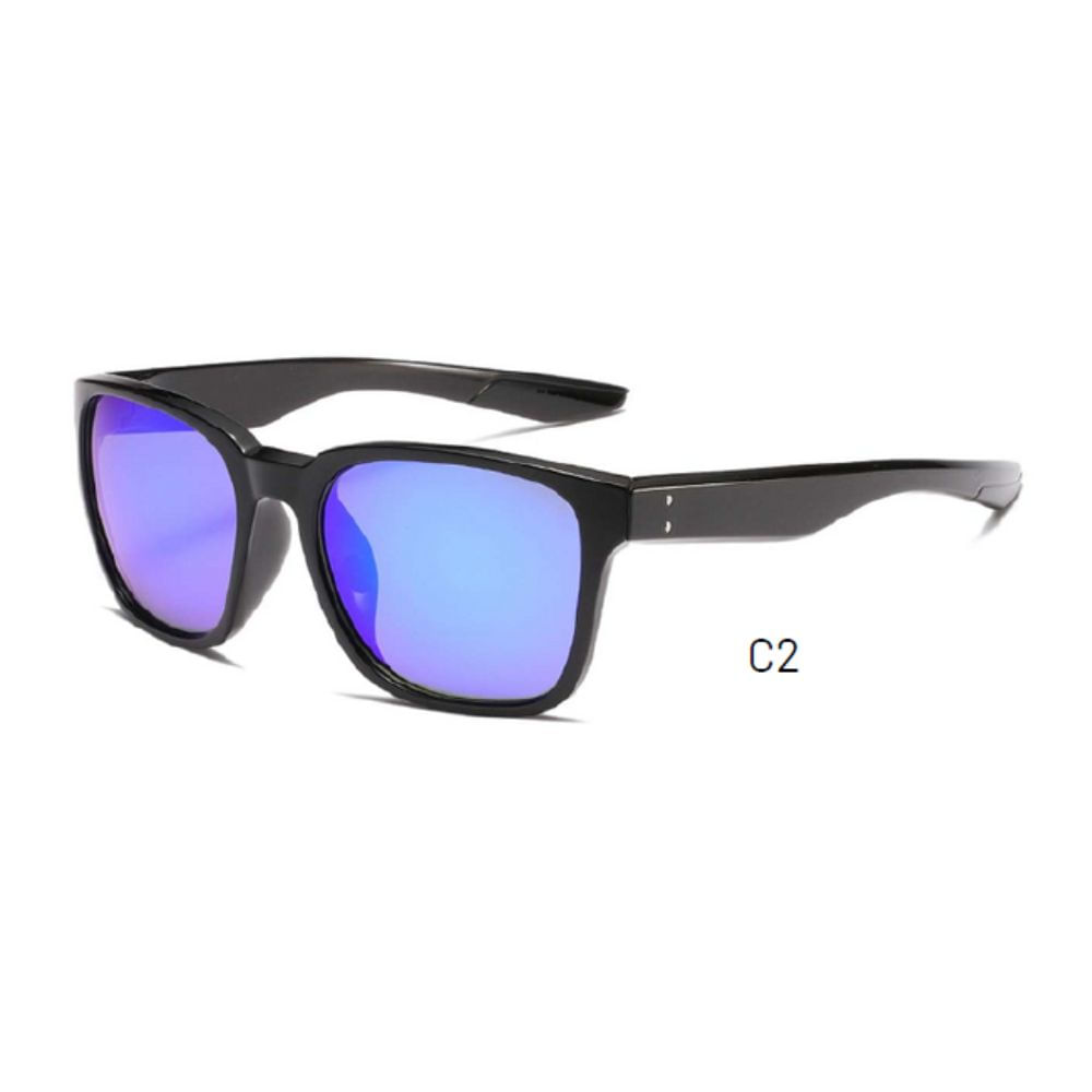 Lente de sol Polarizados Hombre Homeway 3071-C2
