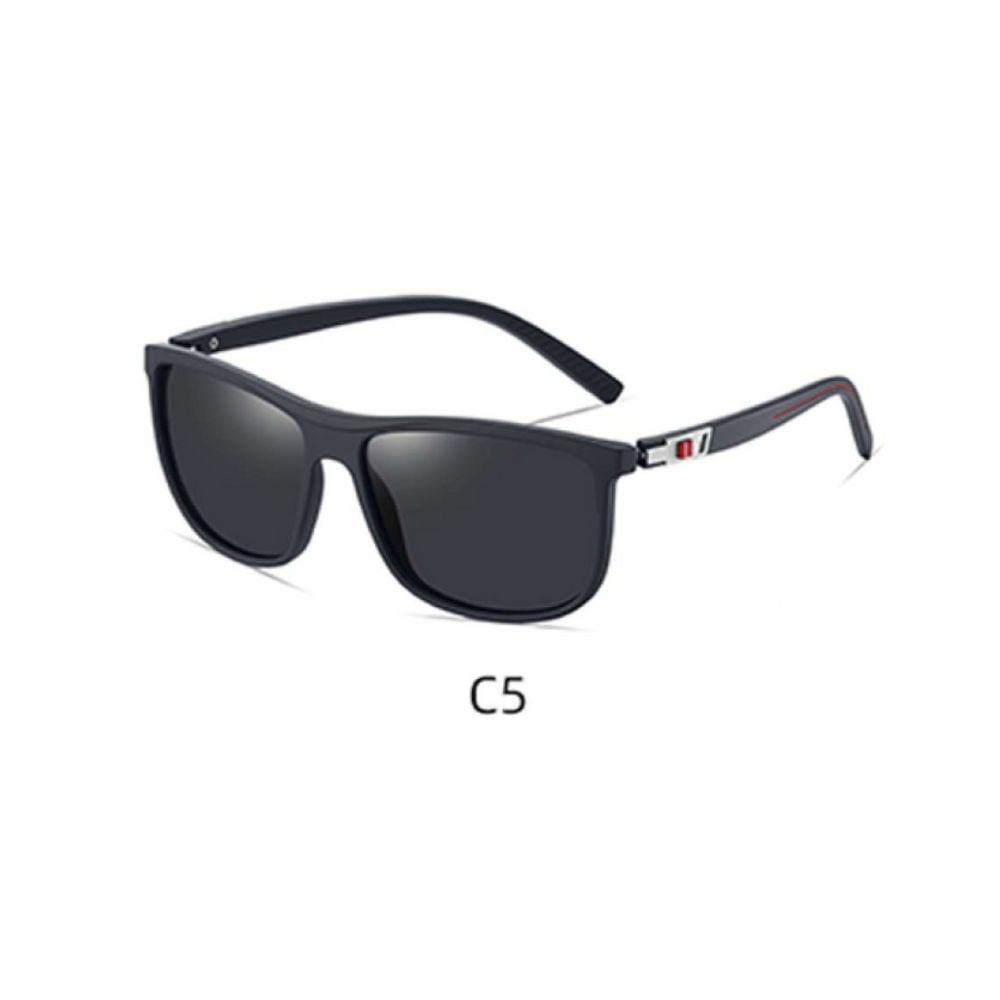 Lente de sol Polarizados Hombre Homeway C3013-C5
