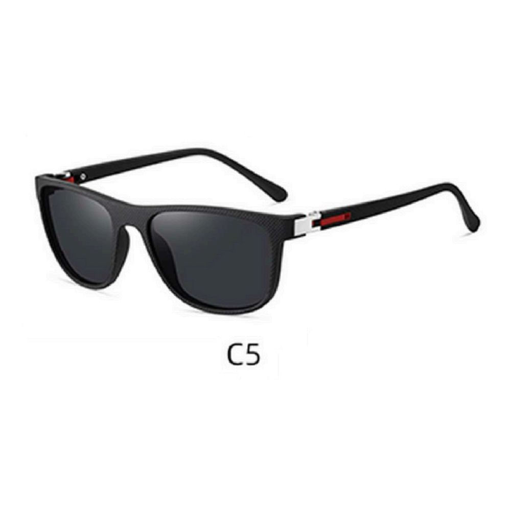 Lente de sol Polarizados Hombre Homeway C3044-C5