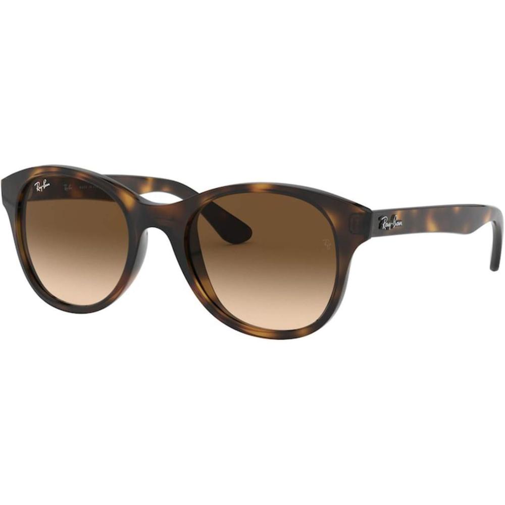 Ray-Ban RB4203 Gafas de sol para hombre | Light Havana / Brown Dark Brown