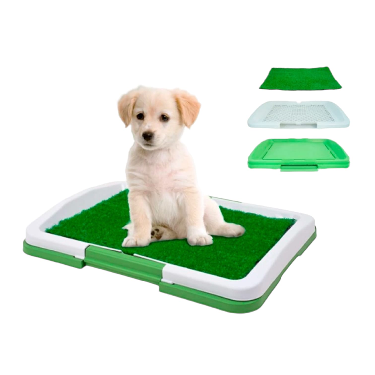 Baño Ecológico Entrenador Para Mascotas Perros Con Cesped Lavable
