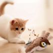 imageUrl_2
