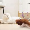 imageUrl_3