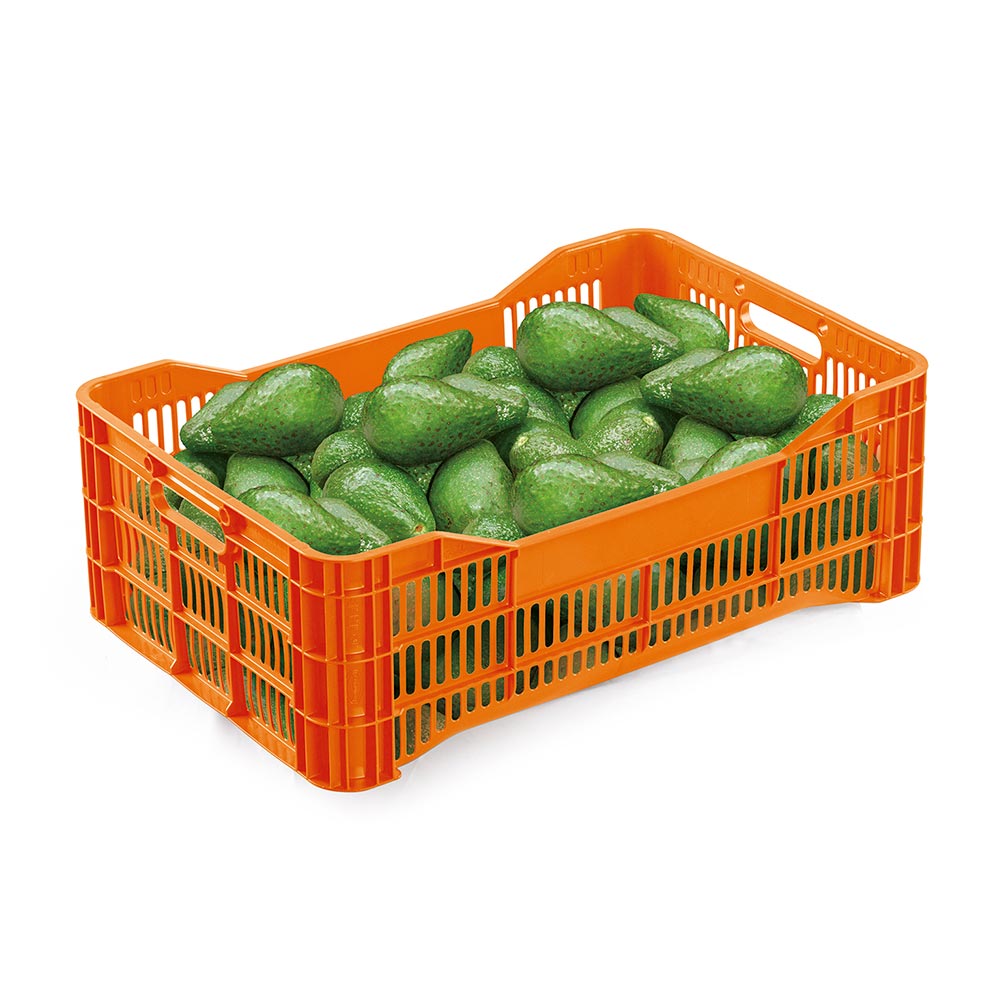 Caja agrícola Piso Calado de Campaña Polinplast