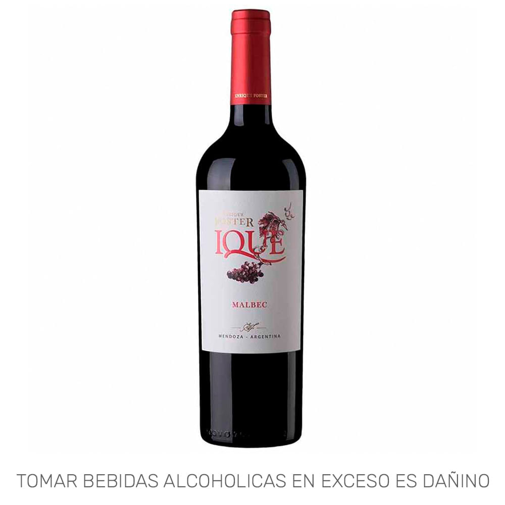 Vino Tinto ENRIQUE FOSTER Ique Malbec Botella 750ml Vino Tinto ENRIQUE FOSTER Ique Malbec Botella 750ml
