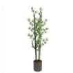 imageUrl_2