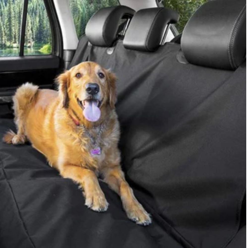 Protector Cobertor Basico Cubre Asientos de Auto