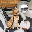 imageUrl_6